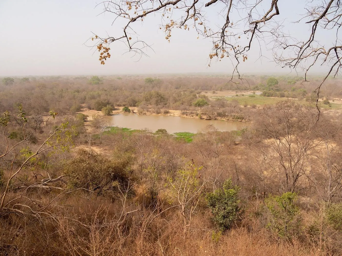 Waterhole seen from above, Mole National Park